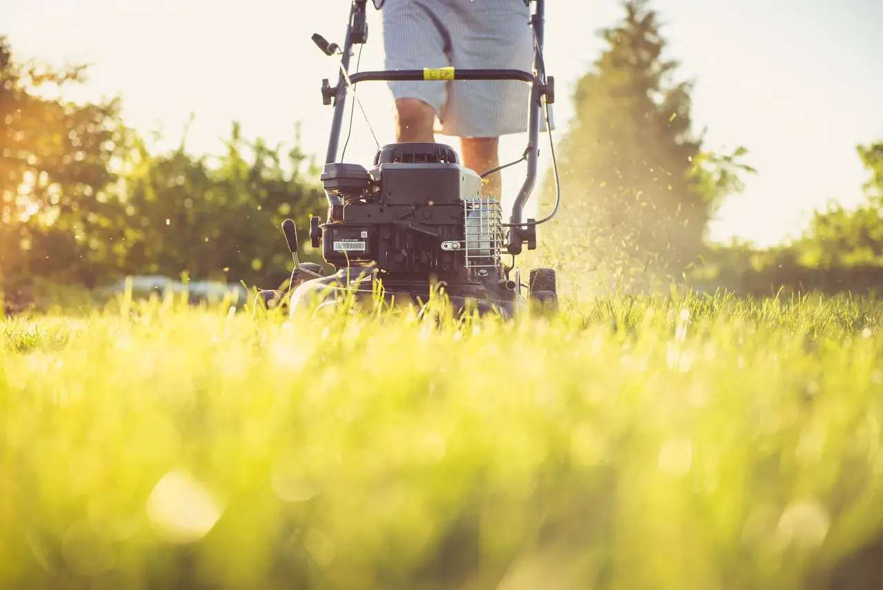 A landscaper mowing a green residential lawn on a sunny afternoon